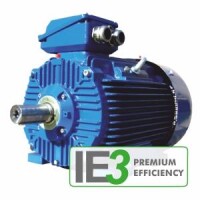 IE2 063 C 4 0,25 3AC-ASYNCHRON-MOTOR (PROGRESSIV) IM...
