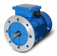 IE2 071 B 4 0,37 3AC-ASYNCHRON-MOTOR IM 3001/B5 FF115...