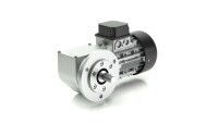 SN12FX Drehstrom-Schneckengetriebemotor, Zweistufig -...