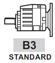B3 (Standard) - 3,1 Liter